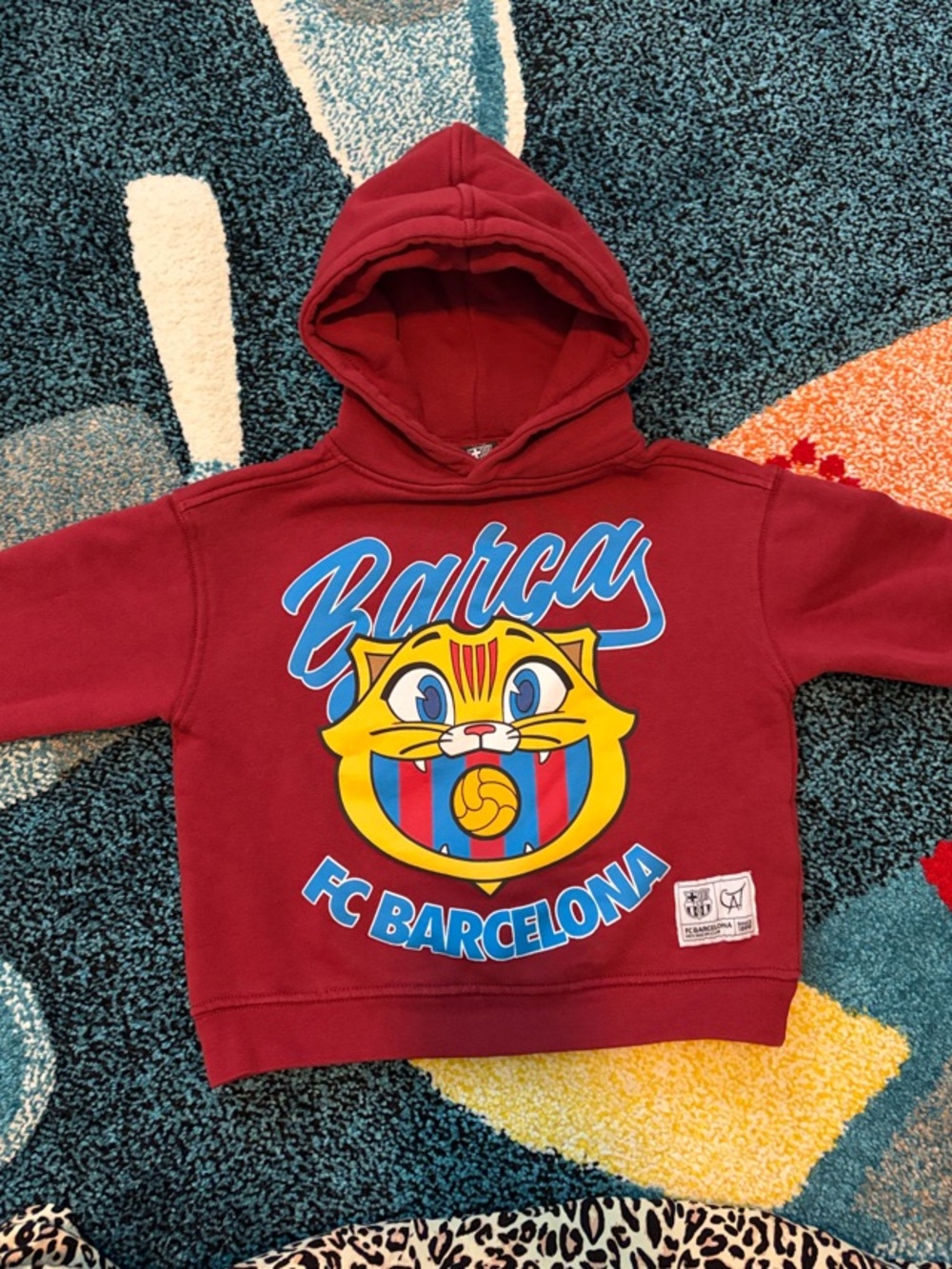 Kids Burgundy Hoodie with Mascot Graphic